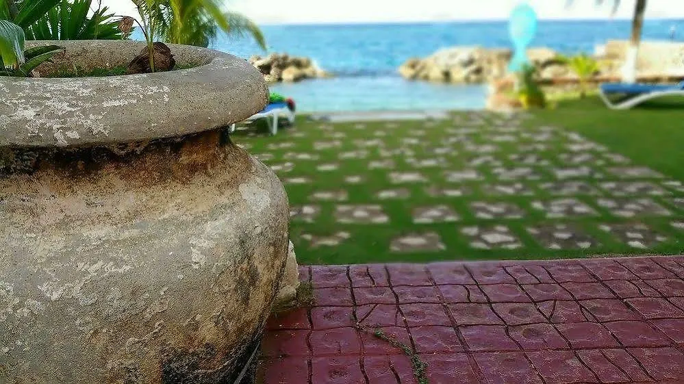 דירה אוצ'ו ריוס Idyllic Beachfront Condo ג'מייקה