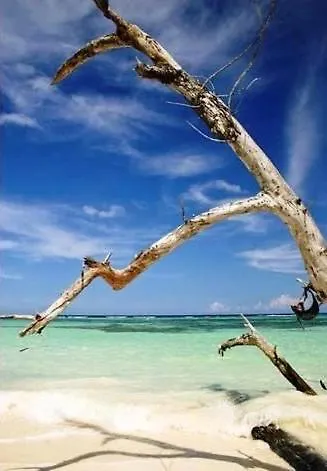 Idyllic Beachfront Condo Ocho Rios Jamaica