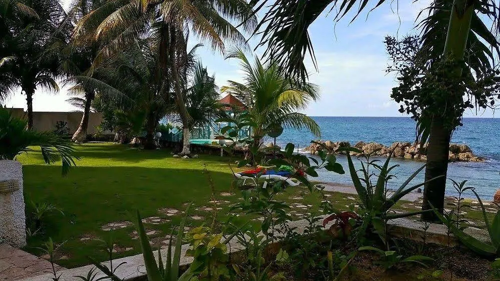 Idyllic Beachfront Condo Ocho Rios 0*,